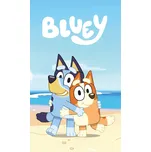 Jerry Fabrics Fleecová deka 100 x 150 cm