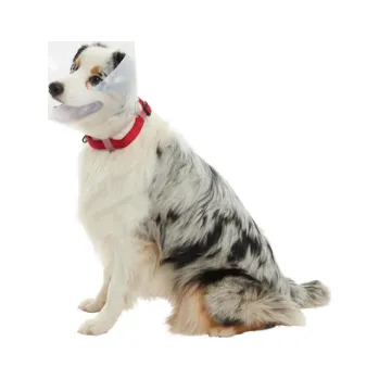 Ochranný límec pro zvířata Límec ochranný plast CLASIC Collar 12,5cm 1ks