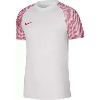 Pánské tričko Pánské tričko Dri-Fit Academy SS M DH8031-100 - Nike S (173 cm)