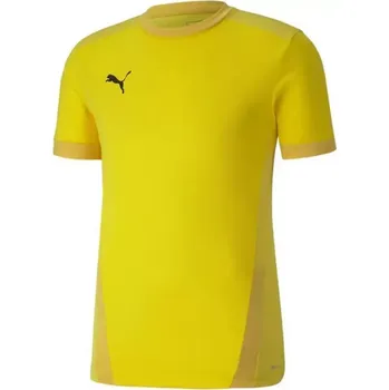 Puma teamGOAL 23 Jersey M 704171 07 pánské dresy S