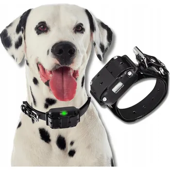 Obojek pro psa Kožený výcvikový obojek pro psa Omna vel. L/XL