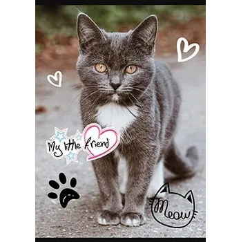 Sešit Sešit A5 s linkami (mřížka) Unipap, 32 listů