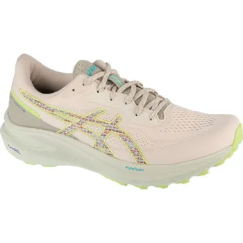 Pánská obuv Boty Asics GT-1000 13 TR M 1011C043-300 45