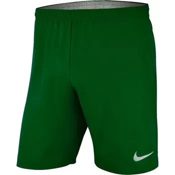 Pánské kraťasy Pánské kraťasy Laser Woven IV Short M AJ1245-302 - Nike S