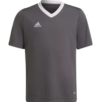 Dívčí tričko Dětské tréninkové tričko Entrada 22 Jsy Jr H57499 - Adidas 164 cm