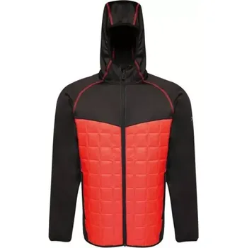 Pánská modulární termobunda Regatta M TRA517 92F XL