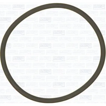 Palivové čerpadlo Těsnění palivového čerpadla AJUSA 16103700