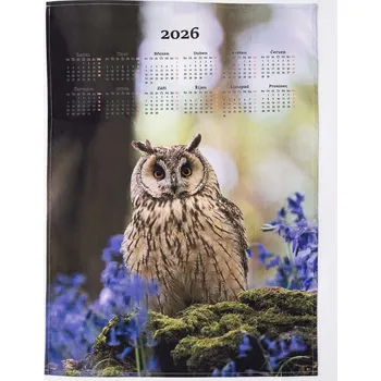 Matějovský Nástěnný textilní kalendář 2026 50 x 70 cm sova