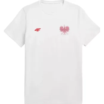 Pánské tričko Pánské tričko RL9 M R4L21-TSM950 - 4F XXL