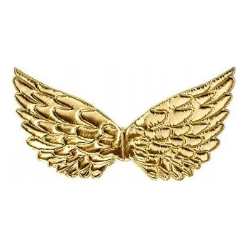 Obraz SREBRNE ANDĚLSKÁ KŘÍDLA BETLÉM 42 CM