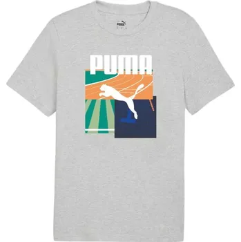 Puma Graphics Summer Sports Tee II M 627909 04 pánské tričko S