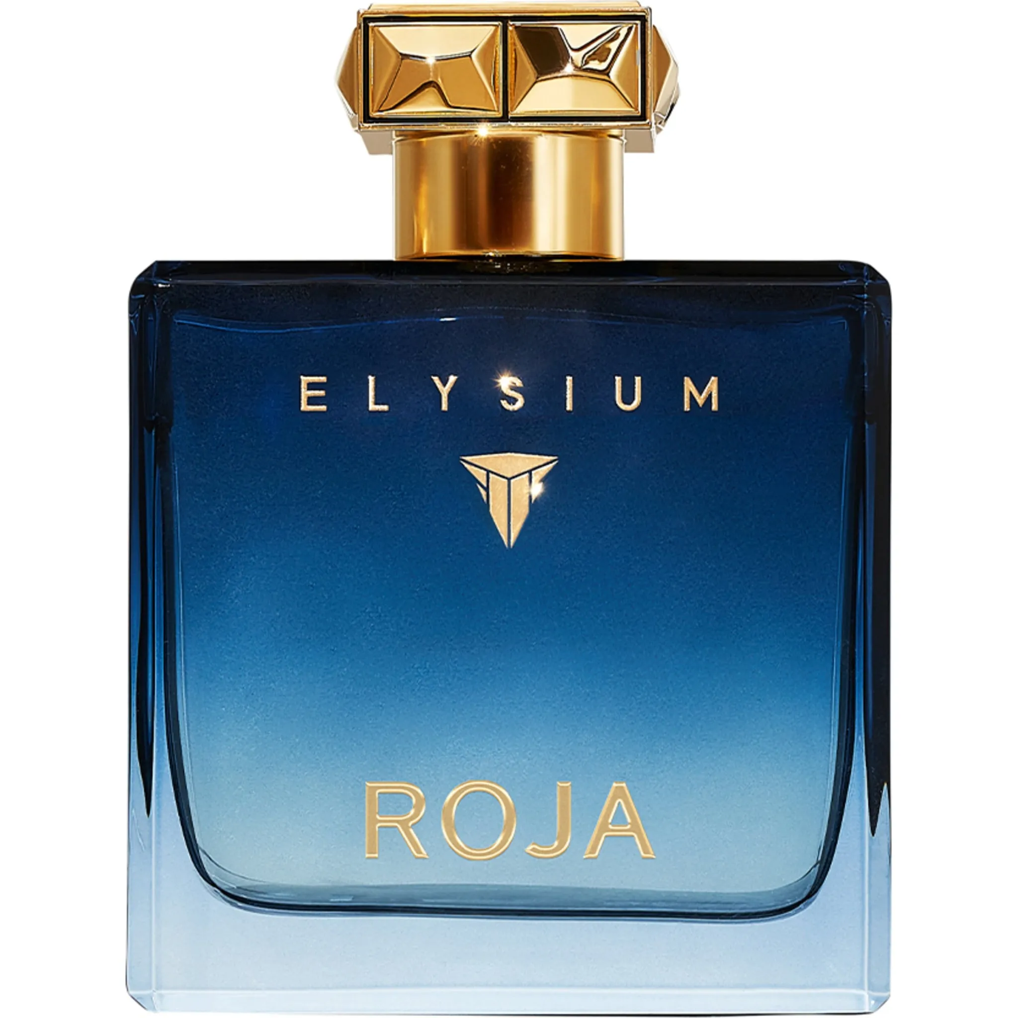 Fotografie 1 - Pánský parfém Roja Parfums Elysium Pour Homme M EDP 100 ml