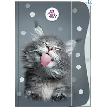 Desky s gumou A4 Beniamin