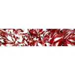 DIMEX KI-260-071 Fototapeta do kuchyně…