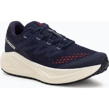 Pánská běžecká obuv Pánské běžecké boty Salomon Aero Glide 3 Gravel astral aura/vanilla ice/haute red