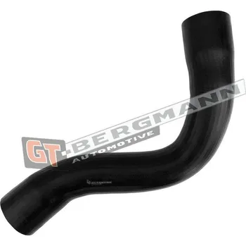 Turbodmychadlo Hadice plnícího vzduchu GT BERGMANN GT52-699