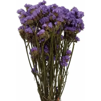 umělá květina Statice stabilizovaná fialová 75cm svazek/kytice 50g