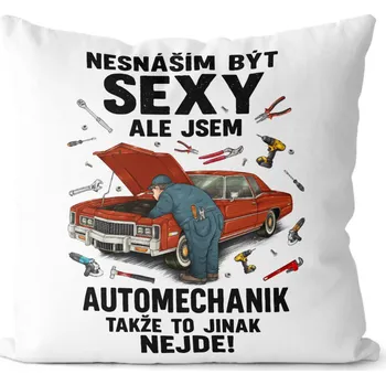 Dekorativní polštářek Polštář 40 x 40 cm - Sexy automechanik