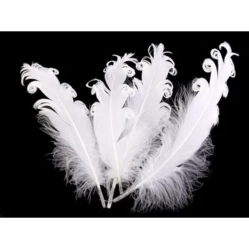 Husí peří kudrnaté délka 12-18 cm - bílá (4 ks)