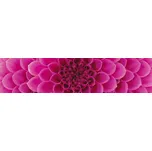 Dimex KI-260-049 Růžová jiřina 260 x 60…