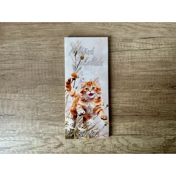 Čokoláda Masha Kočička Mléčná čokoláda 100g