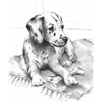 Výtvarná sada Malování skicovacími tužkami - Šťěnátko Dalmatina