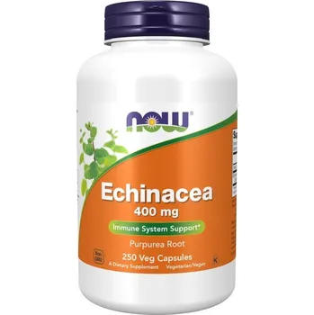 Now Foods Echinacea 400 mg 250 kapslí