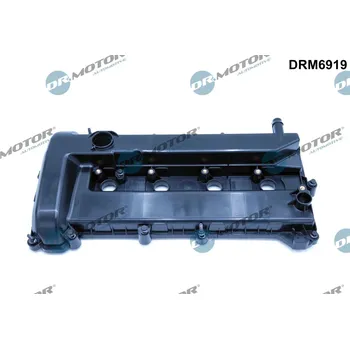 Motor automobilu Kryt hlavy válce Dr.Motor Automotive DRM6919