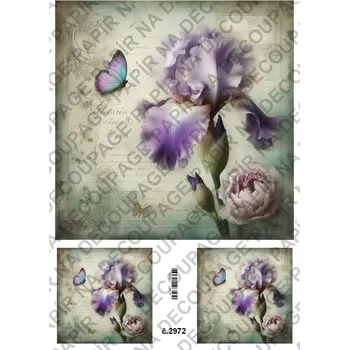 Umělecký papír Rýžový a soft papír na decoupage - Kosatec - KB2972 Materiál: Rýžový papír, Rozměr: A4