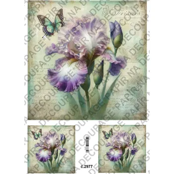 Umělecký papír Rýžový a soft papír na decoupage - Kosatec - KB2977 Materiál: Soft, Rozměr: A4