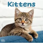 Avonside Publishing Kalendář Kittens…