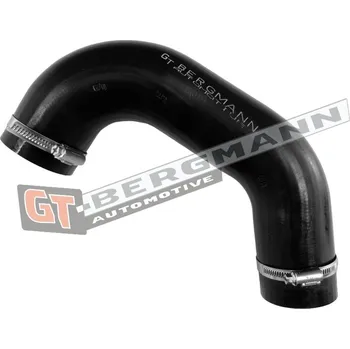 Turbodmychadlo Hadice plnícího vzduchu GT BERGMANN GT52-814