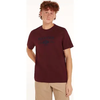 Pánská móda Tričko Tommy Hilfiger Purple 1172576 M