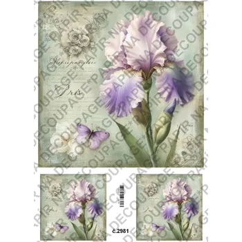 Umělecký papír Rýžový a soft papír na decoupage - Kosatec - KB2981 Materiál: Soft, Rozměr: A4