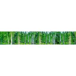 DIMEX KI-350-044 350 x 60 cm březový háj