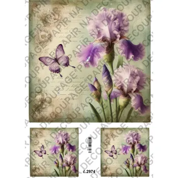 Výtvarný papír Rýžový a soft papír na decoupage - Kosatec - KB2974 Materiál: Rýžový papír, Rozměr: A4