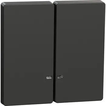 MEG3420-6034 Dvojitá klapka s průzorem, antracit, Schneider Electric