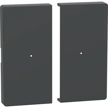 MEG5220-6034 Klapka pro tlač. modul 2nás., antracit, Schneider Electric