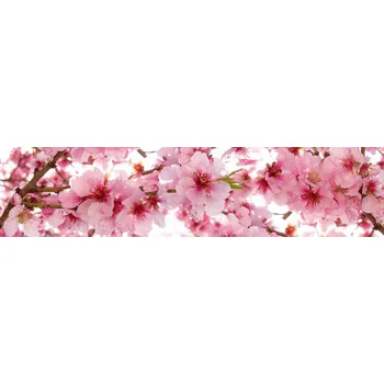 Fototapeta DIMEX KI-260-054 260 x 60 cm květy jabloní