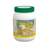 Everest Ajurveda Ajurvédský očistný elixír PRANAPRASH 200g