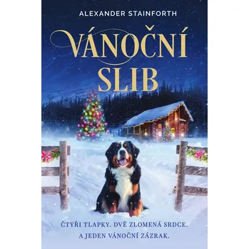 Vánoční slib - Alexander Stainforth (2025, pevná)