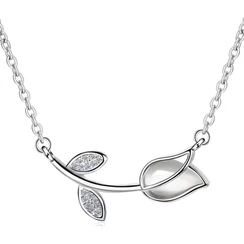 Náhrdelník IZMAEL Náhrdelník RF 23417 Stříbrná KP23417