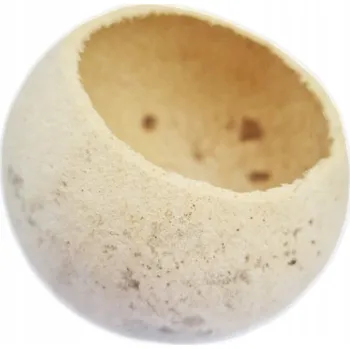 Obraz BELL CUP Bílý Bělený Přírodní Sušené Rostliny DEKORACE