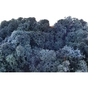 Obraz Sobí mech chrobotek Granatowy 500 Premium