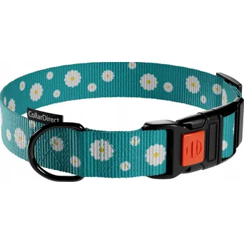 Obojek pro psa Obojek pro psa CollarDirect, velikost L