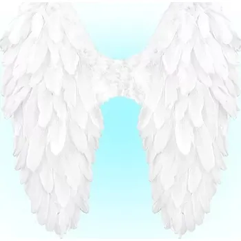 Karnevalový kostým Péřová křídla / kostým anděla (50 x 50 cm)