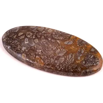 Přírodní kámen Kabošon Tree Marcasite č.5893 (60x28x5mm)