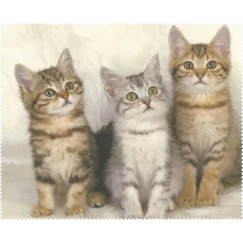 Utěrka Čisticí hadřík na brýle pro děti z mikrovlákna s potiskem 3 Kočky