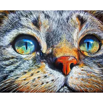 Diamantové malování Diamantové malování Kočka DP383
