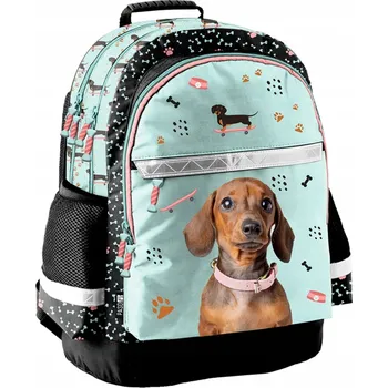 Školní batoh Školní batoh Paso s více přihrádkami růžový, vícebarevný 19 l